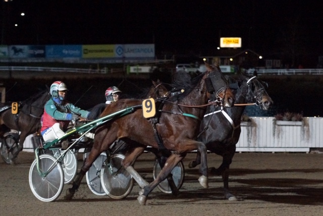 Roses Tara voittokuva